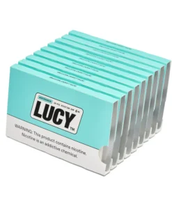 LUCY NICOTINE GUM wintergreen