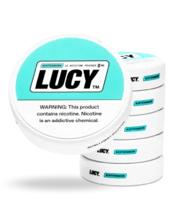 LUCY WINTERGREEN POUCHES 8mg
